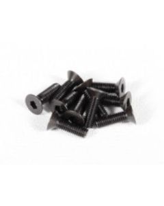 Family Land M3x10mm FLAT HEAD CAP SCREWS (10pcs) (COMPATIBLE AX31120)