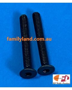 Family Land 2x16F Flat Screw 2pcs