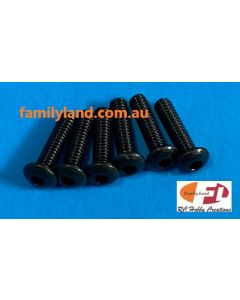 Family Land 2x8B Button Head Socket Screw 6pcs