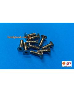 Family Land 3x10mm Stainless Steel Countersunk Hex Socket Screw (10pcs) (Marine)