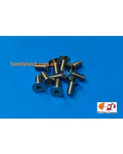Family Land 4x10mm Stainless Steel Countersunk Hex Socket Screw (10pcs) (Marine)