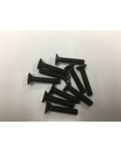 Family Land M4X20mm FLAT HEAD HEX SOCKET SCREWS (10pcs) 