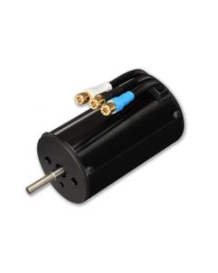 Traxxas 3361 Brushless Motor, Velineon 1600XL, X-Maxx 1/6