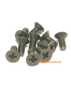 Acme 30790 Selftape Countersunk Screw 2.5x4mm (10)