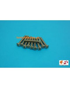 Family Land M3x20mm STAINLESS STEEL BUTTON HEAD SCREWS (10pcs)