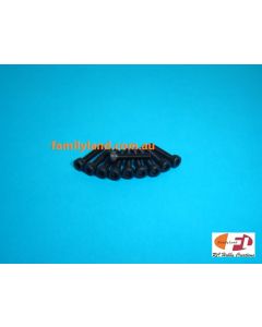 Family Land 2.5x12mm SOCKET HEAD CAP SCREWS (10pcs)