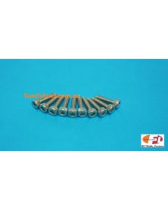 Family Land M3x12mm STAINLESS STEEL SOCKET ALLEN HEAD SCREWS (MARINE) (10pcs)