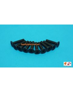 Family Land M3x14mm FLAT HEAD SCREWS (10pcs)
