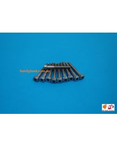 Family Land 4x30 Socket Head Screw Stainless Steel (10pcs)