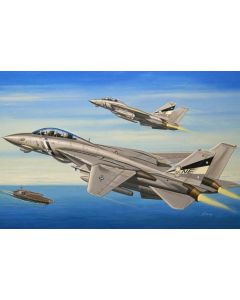 Hobby Boss 80278 F-14D Super Tomcat 1/72