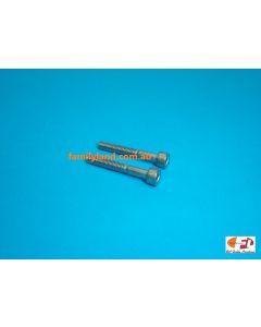 Phoenix SCR430 SPINNER SCREW 4x30mm (2pcs)